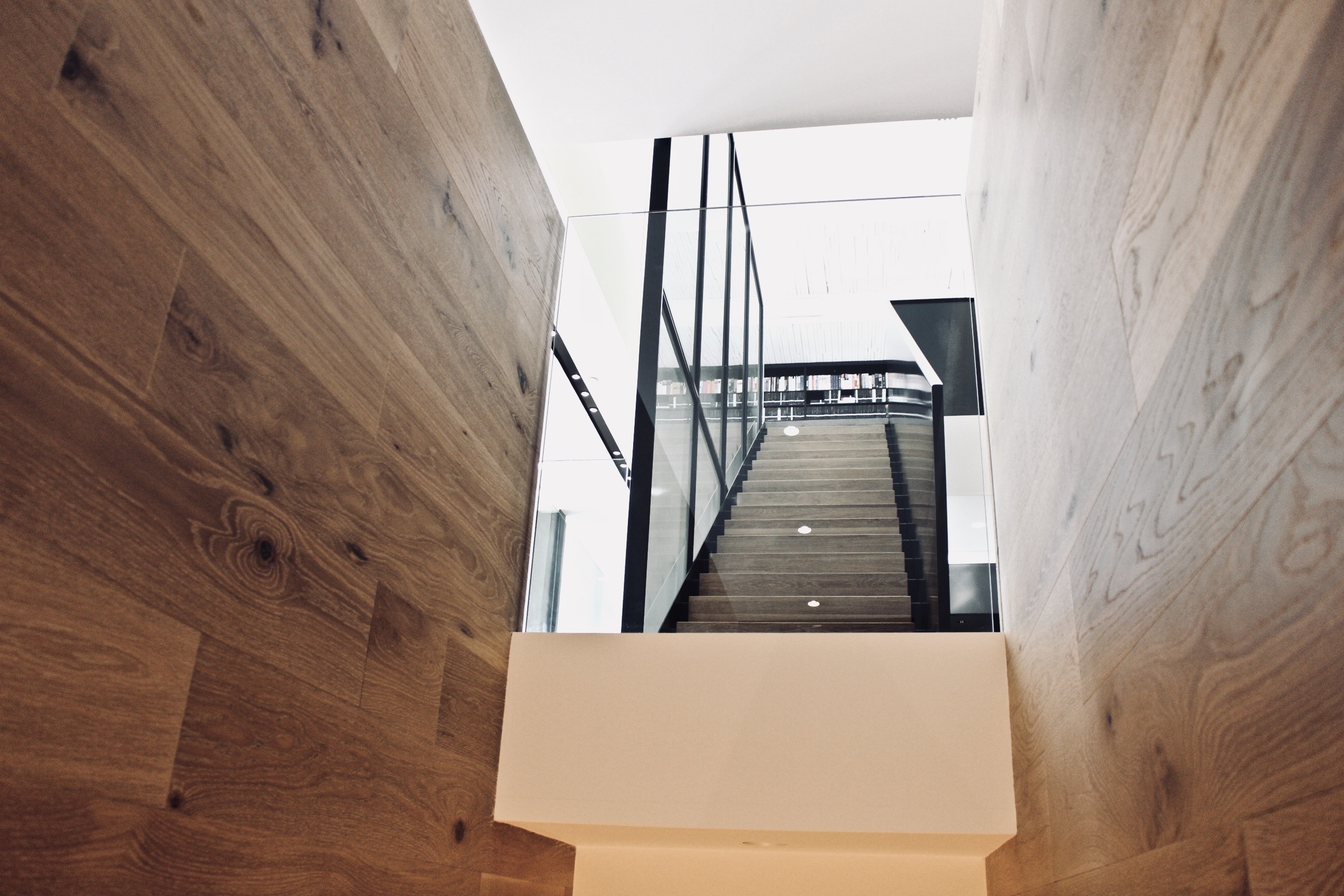 Inspiration d'escalier commercial contemporain pour un intérieur architectural élégant.