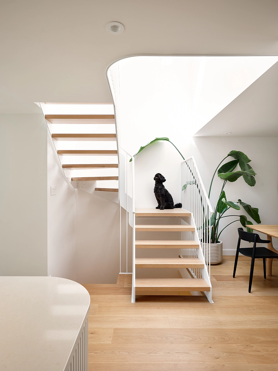 Projet d'escalier architectural résidentiel réalisé par SLIK Entreprise.